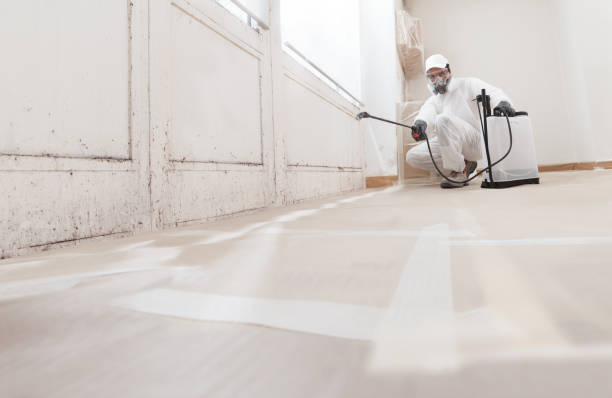 24/7 Emergency Black Mold Removal experts in Elm City, NC
