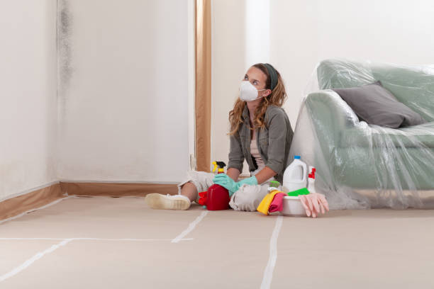 Reliable Mold Cleanup contractor in Elm City, NC by Cheap Mold Removal